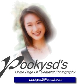 aileen tung